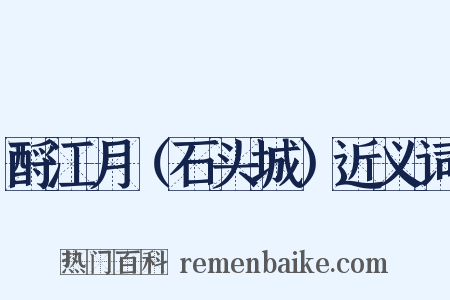 酹江月（石头城）近义词是什么意思的图片